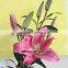 Spring And Summer Flowers Natural Trumpet Flower Flower With 10 Stems/Bundle Spray Lily Natural Flowers Named As Fresh Cut Lily