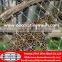 Hand-woven Stainless Steel Wire Rope Mesh for decoration or animal enclosure