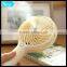 Outside Camping Usb Water Spray Small Handheld Fan