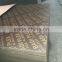failm faced plywood 12mm/12-ply boards