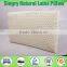 100 Percent Natural Latex Foam Rubber Pillow