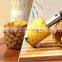 Stainless Steel Fruit Pineapple Peeler Corer Slicer Cutter For Kitchen Gadget