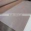 shandong furniture plywood sheet 18mm