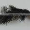 New black ostrich feather headdress hair accessories