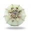 Cream Glass With Metal Work