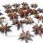Spice/ Organic Star Aniseeds