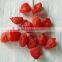 China factory wholesale health snack food preserved fruit Bulk Dried Strawberries