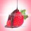 dried fruit chips /Palarich natural freeze dried strawberry chocolate chips 11