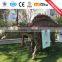 CE Certification Simulation Dinosaur with High Ranks