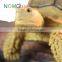 Nomo non-toxic super simulation cute hermann's tortoise model