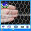 chicken wire netting / hexagonal wire netting for poultry mesh