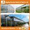 Shan Dong high quality greenhouse equipment - glass panels greenhouse for sale