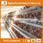 Hot selling Asia chicken cage for sale automatic chicken layer cage for sale in philippines