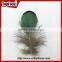New Hot Carnival Costume Trimming Fringe Green Pheasant Feathers Prices