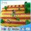 Top Selling Turtle Inflatable Slide / Huge Height Inflatable Slide for Adult / Water Slide