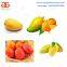 Mangoes Sorting Machine/Mango Sorting Machine for Sale/Professional Mango Sorting Machine