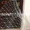 HDPE transparent anti bird net 25x25mm usd for fencing and protecting vegetables in vineyards