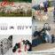 Hot Sale Electrical Sheep Clipper /Wool Shearing Machine
