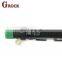common rail delphi injector 1100100ED01 28231014 for Greatwall Haval H5 H6 4D20
