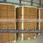 COIR DUST BLOCKS