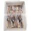 Good quality Frozen Anchovy Fish Fillet Block