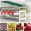 Jujube fruit grading machine/Cherry tomato sorting machine