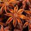 Aniseed