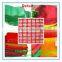 50*80 28g Green PP Raschel Friewood Mesh Bag / onion mesh bags, pp bags