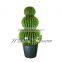 China wholesale manufacturer artificial cactus plant ball cactus bonsai with high quality