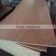 12MM Plywood Price / 12MM Bintangor Plywood Price