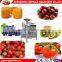 High quality fruit pulping machine on sale