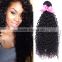 Full Head Brazilian human virgin hair kinky curly wave brazilian hair extension