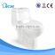 Washdown ceraimc one piece bio toilet