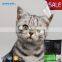 China Puyuan fragrance ball shape kitty sand on sale