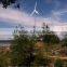 2013 new Hot Sale Small Wind Tubine for home 500W