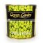 Grade A canned green peas with very best price