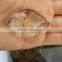 Rutilated White Crystal Quartz Stone Pendants Gems
