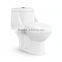 Sanitary Squatting Water Closet