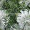 Large outdoor Christmas tree snow