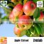 GMP apple peel extract factory with green apple extract for apple extract benefits as anti-cancer