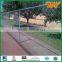 chain link fence netting ( ISO 9001 factory )