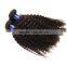 Blonde Peruvian Kinky Curly Virgin Hair 100% Human Hair Deep Wave Tight Curly Hair Extension 3pcs/lot