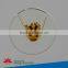 100% factory zoology medical parasitology prepared slide set