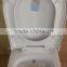 bathroom ceramic egypt iraq toilet with bidet integrated
