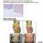mini laser weight loss and fast fat removal machine for sale