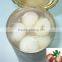 Chinese Special Canned Fruit Fresh Sweet Canned Lychee in Syrup