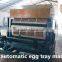 Egg tray machinery from China
