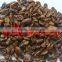Dried Silkworm Pupa Natural Pet Food