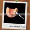 OEM ODM mint toothpicks floss