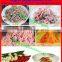meat/ mushroom/ vegetables grinding machine